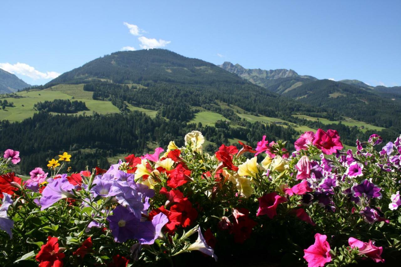 Appartamento Schernthaner Taxenbach Esterno foto