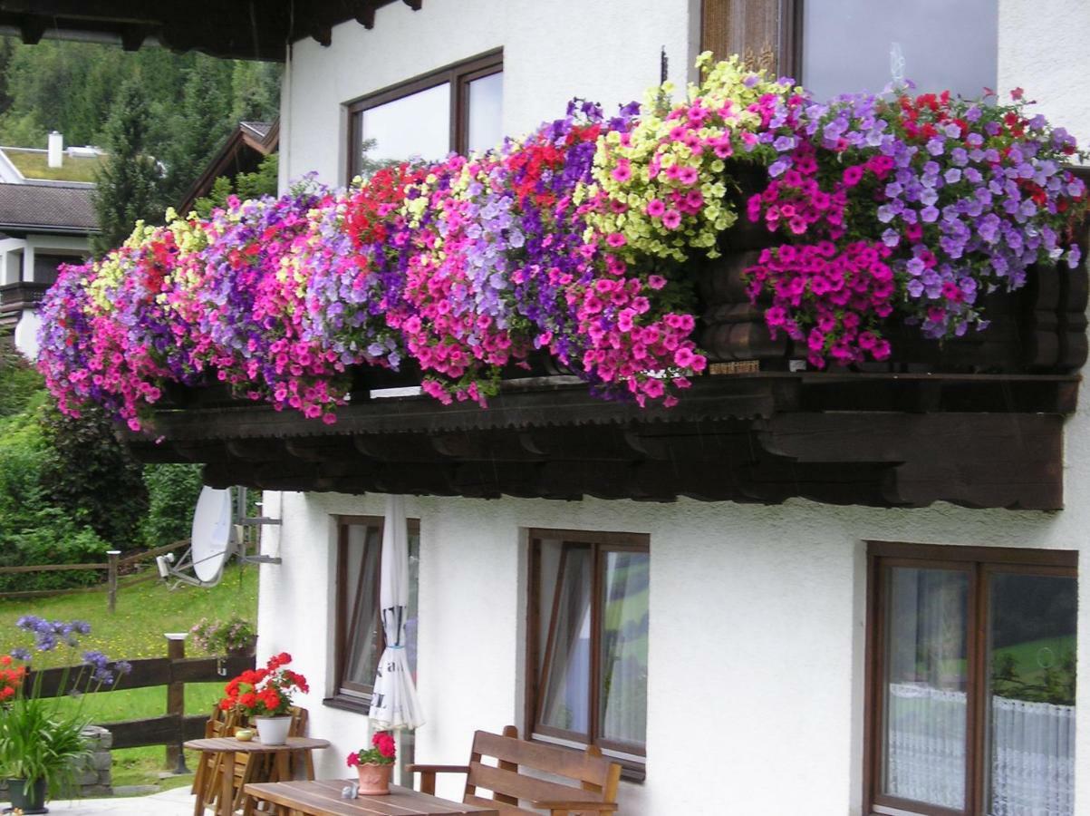 Schernthaner Taxenbach Esterno foto